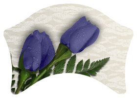 DABAN-055 2 Roses Purple